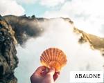 ABALONE anagram