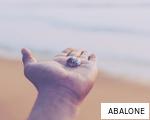 ABALONE anagram