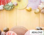 ABALONE anagram
