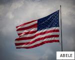 ABELE anagram