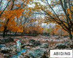 ABIDING anagram