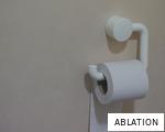 ABLATION anagram