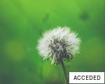 ACCEDED anagram