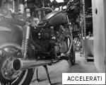 ACCELERATI anagram