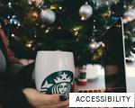 ACCESSIBILITY anagram