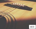 ACO anagram