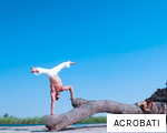 ACROBATI anagram