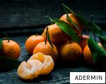 ADERMIN anagram