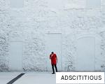 ADSCITITIOUS anagram