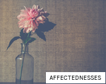 AFFECTEDNESSES anagram