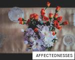 AFFECTEDNESSES anagram