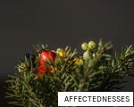 AFFECTEDNESSES anagram