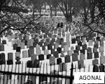 AGONAL anagram