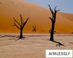 AIMLESSLY anagram