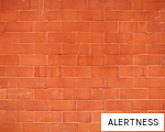 ALERTNESS anagram
