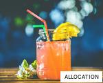 ALLOCATION anagram