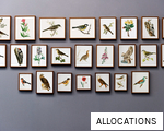 ALLOCATIONS anagram