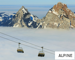 ALPINE anagram
