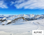 ALPINE anagram