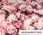 AMALGAMATIONS anagram
