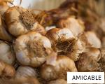AMICABLE anagram