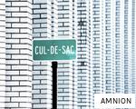 AMNION anagram