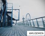 AMUSEMEN anagram