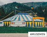 AMUSEMEN anagram