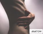 ANATOM anagram