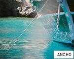 ANCHO anagram