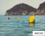 ANCHO anagram