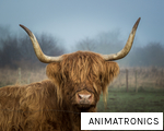 ANIMATRONICS anagram