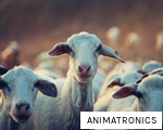 ANIMATRONICS anagram