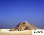 ANISES anagram