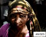 ANISES anagram