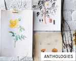 ANTHOLOGIES anagram