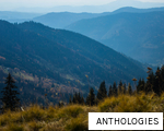 ANTHOLOGIES anagram