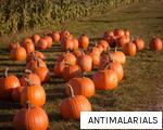 ANTIMALARIALS anagram
