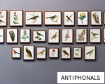 ANTIPHONALS anagram