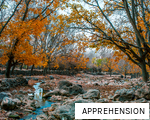 APPREHENSION anagram