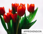 APPREHENSION anagram