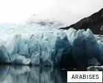 ARABISES anagram