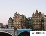 ARABISES anagram