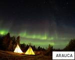 ARAUCA anagram