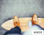 ARBOR anagram