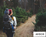 ARBOR anagram