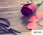 ARCHS anagram