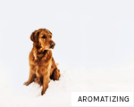AROMATIZING anagram