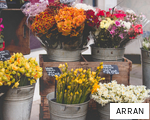 ARRAN anagram