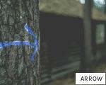 ARROW anagram